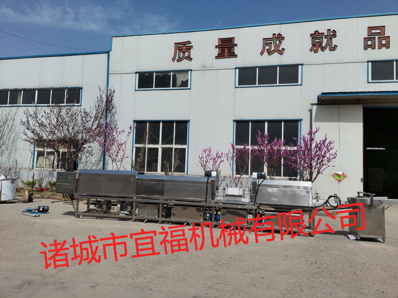 鱼罐头02.jpg